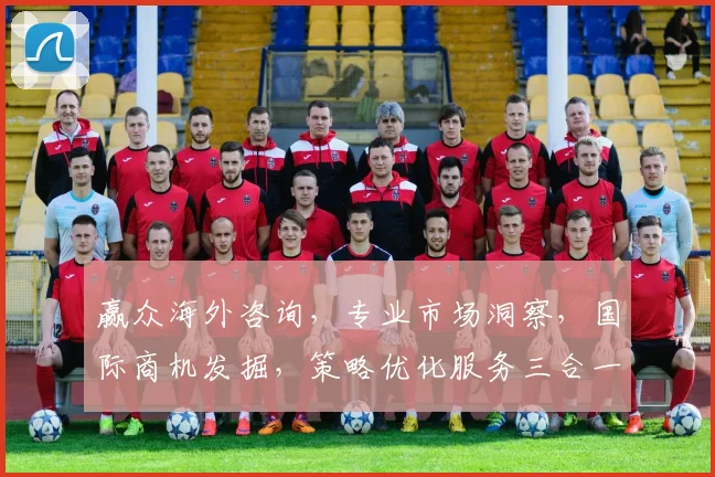 赢众海外咨询，专业市场洞察，国际商机发掘，策略优化服务三合一