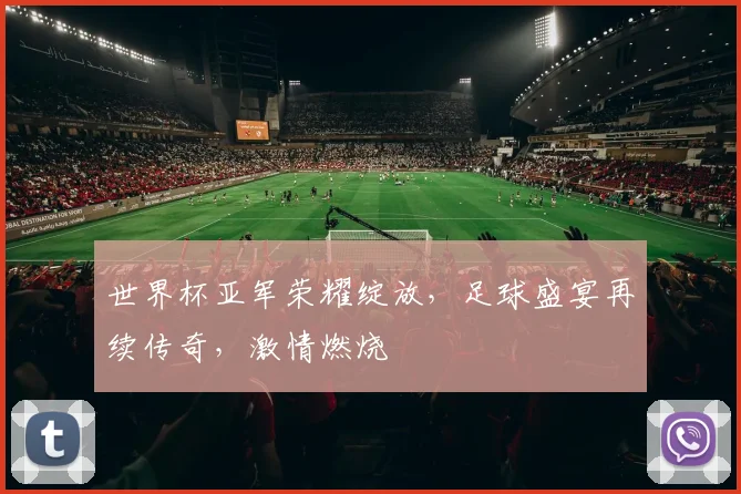 世界杯亚军荣耀绽放，足球盛宴再续传奇，激情燃烧